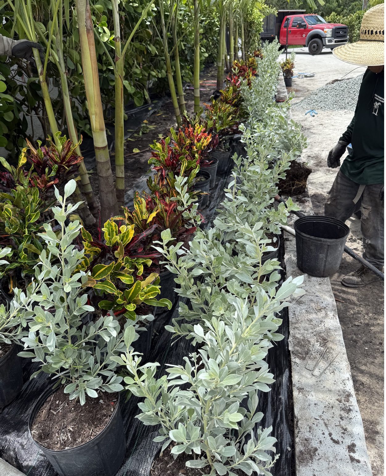 We lay every plant out before we plant it